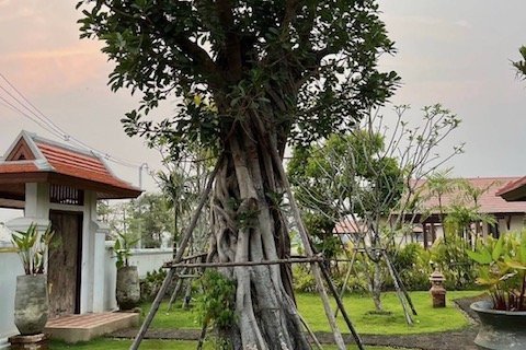 3 bedrooms House in Chiang Mai, Thailand No. 97617 15