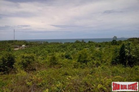 8000m² Land in Ko Lanta Yai, Thailand No. 96470 1