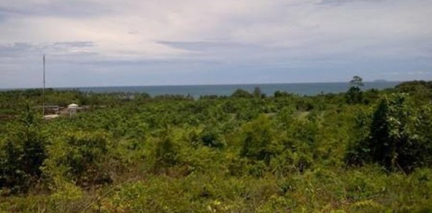 8000m² Land in Ko Lanta Yai, Thailand No. 96470
