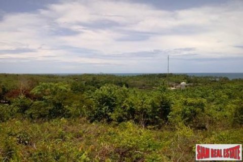 8000m² Land in Ko Lanta Yai, Thailand No. 96470 3