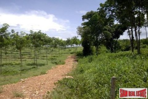 8000m² Land in Ko Lanta Yai, Thailand No. 96470 2