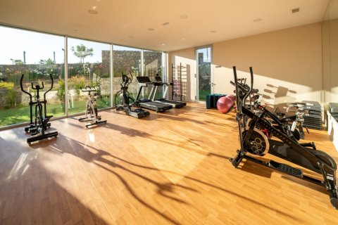 Пентхаус с 3 спальнями в Dinh An, Вьетнам №27569 7