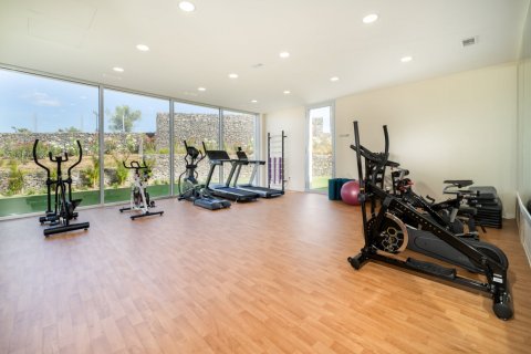 Пентхаус с 3 спальнями в Dinh An, Вьетнам №27569 22