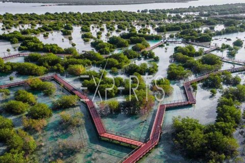954.02m² Land en Al Hudayriat Island, UAE No. 129554
