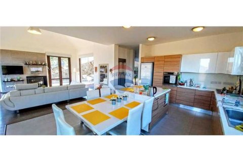 5 bedrooms Villa in Kalopanayiotis, Cyprus No. 74495 10