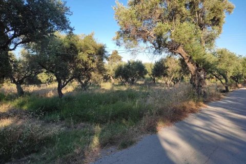 Land in Zakynthos, Greece No. 24504 2