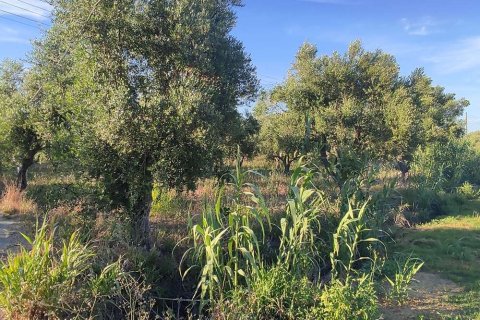 Land in Zakynthos, Greece No. 24504 8