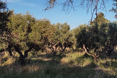 Land in Zakynthos, Greece No. 24504 4