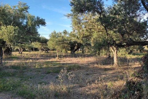 Land in Zakynthos, Greece No. 24504 9
