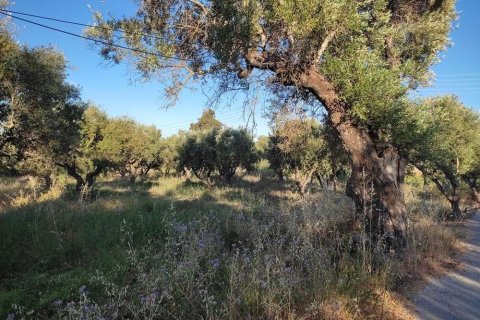 Land in Zakynthos, Greece No. 24504 10