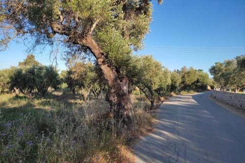 Land in Zakynthos, Greece No. 24504 1