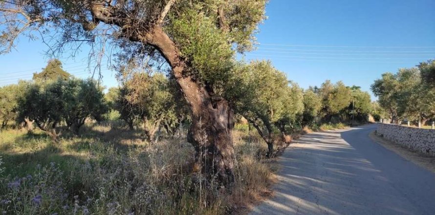 Land in Zakynthos, Greece No. 24504