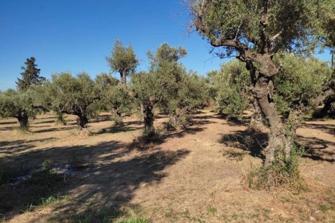 Land in Zakynthos, Greece No. 24504 11