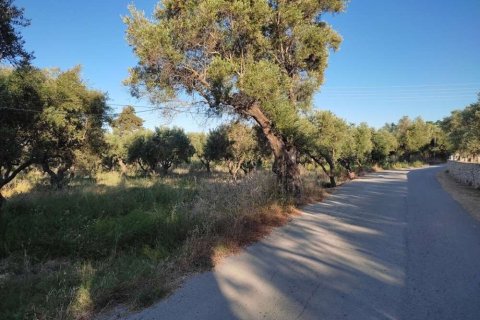 Land in Zakynthos, Greece No. 24504 7