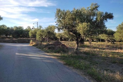 Land in Zakynthos, Greece No. 24504 5