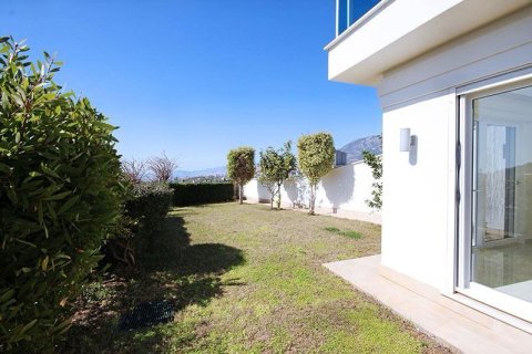 6 rooms Apartment in Lien Chieu, Vietnam No. 21975 10