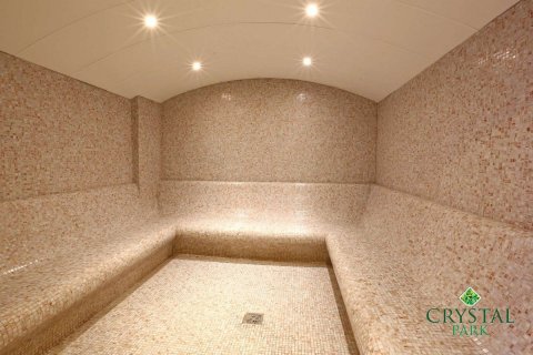 2 dormitorios Apartment en Phong Thanh Tay A, Vietnam No. 16603 23