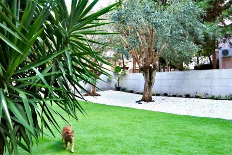 3 rooms Appartement à Athens, Greece No. 55669 2