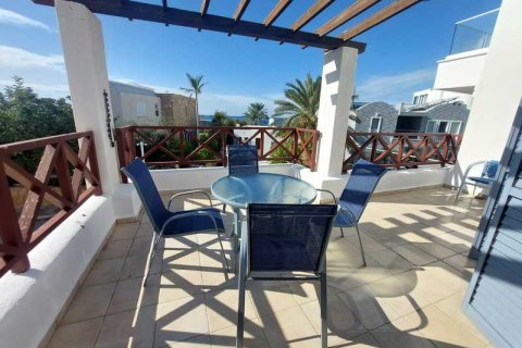 3 bedrooms House in Chloraka, Cyprus No. 82634 5