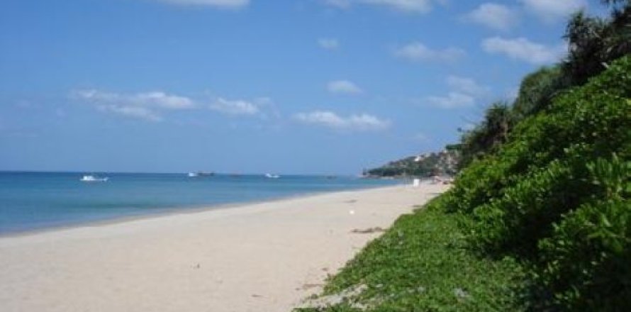 132800m² Land in Ko Lanta Yai, Thailand No. 96435