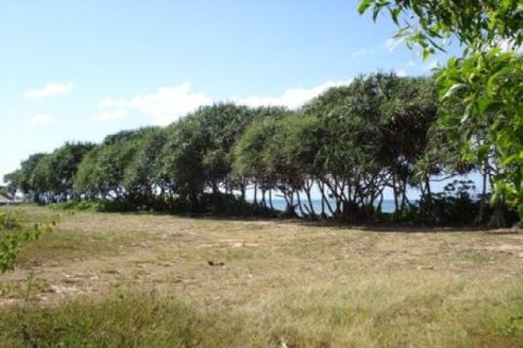 132800m² Land in Ko Lanta Yai, Thailand No. 96435 2