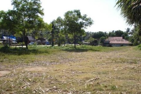 132800m² Land in Ko Lanta Yai, Thailand No. 96435 3