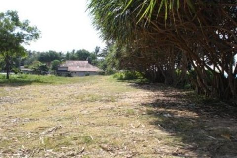 132800m² Land in Ko Lanta Yai, Thailand No. 96435 4