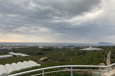 3 bedrooms Apartment in Bo Ha, Vietnam No. 12261 1