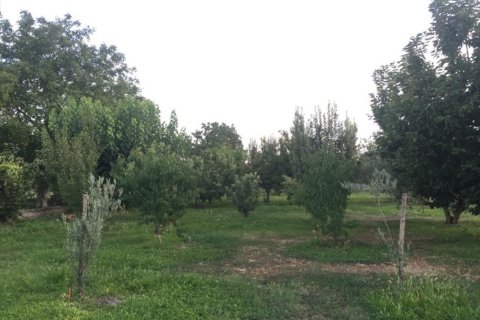 3 dormitorios Villa en Central Macedonia, Greece No. 49801 14