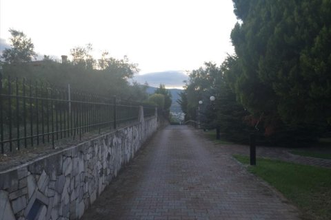 3 dormitorios Villa en Central Macedonia, Greece No. 49801 12