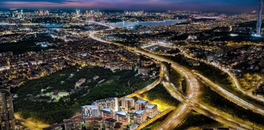 1 bedroom Apartment in Üsküdar, Turkey No. 116506