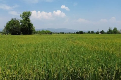 Land en Chiang Mai, Thailand No. 98168 3