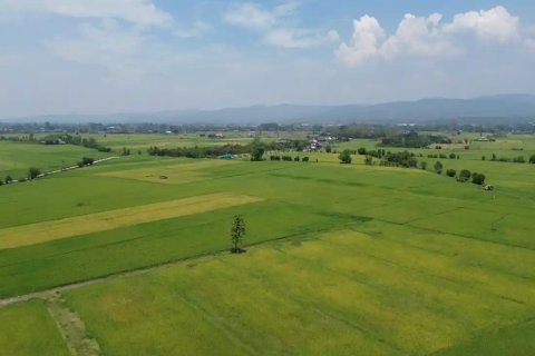 Land en Chiang Mai, Thailand No. 98168 7