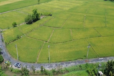 Land en Chiang Mai, Thailand No. 98168 9