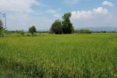 Land en Chiang Mai, Thailand No. 98168 2