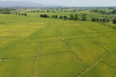 Land en Chiang Mai, Thailand No. 98168 12