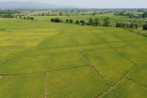 Land en Chiang Mai, Thailand No. 98168 1