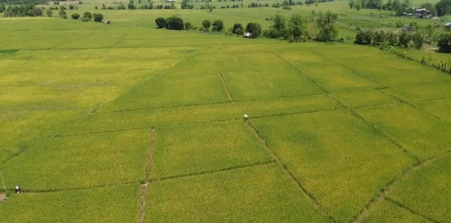 Land en Chiang Mai, Thailand No. 98168