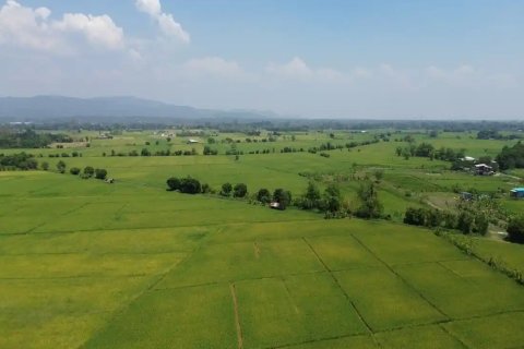 Land en Chiang Mai, Thailand No. 98168 8
