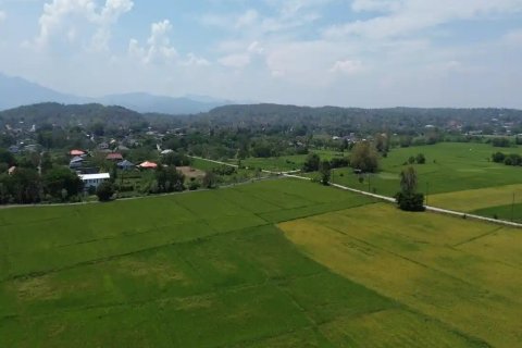 Land en Chiang Mai, Thailand No. 98168 5