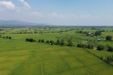 Land en Chiang Mai, Thailand No. 98168 4