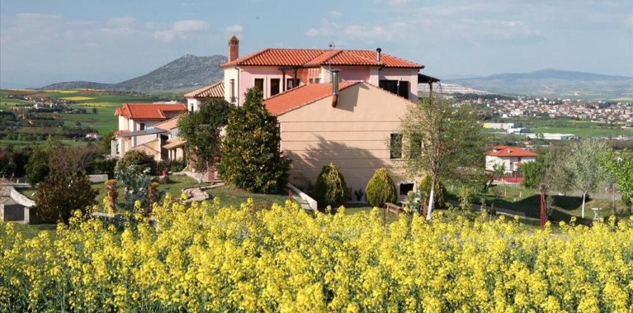 5 dormitorios Villa en Mygdonia, Greece No. 107528