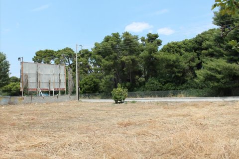 1400m² Land en Xylokastro, Greece No. 60294 2
