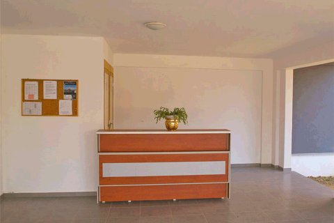 16 habitaciones Hotel en Pieria, Greece No. 57149 7