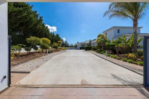 8 chambres Villa à Anarita, Cyprus No. 31491 6