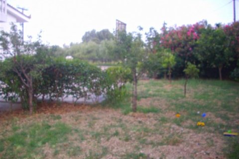 4 chambres House à Zakynthos, Greece No. 24537 15