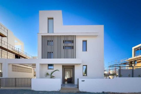 Вилла с 3 спальнями в Пернера, Кипр №28641 2