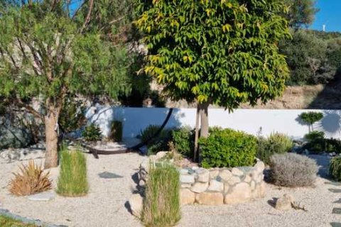 3 bedrooms House in Kouklia, Cyprus No. 74159 3