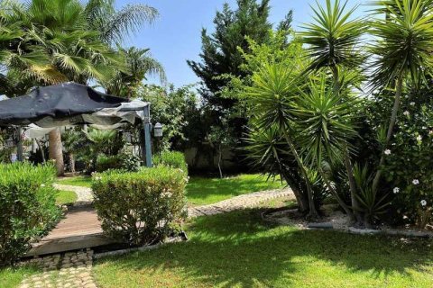 6 bedrooms House in Enkomi, Cyprus No. 101712 10