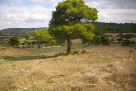 Land in Zakynthos, Greece No. 24662 7